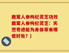 鹿茸人参枸杞灵芝功效鹿茸人参枸杞灵芝：天然奇迹能为身体带来哪些好处？)