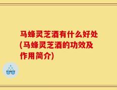 马蜂灵芝酒有什么好处(马蜂灵芝酒的功效及作用简介)
