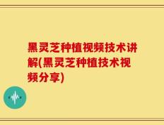 黑灵芝种植视频技术讲解(黑灵芝种植技术视频分享)