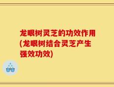 龙眼树灵芝的功效作用(龙眼树结合灵芝产生强效功效)