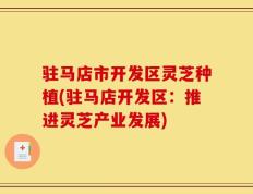 驻马店市开发区灵芝种植(驻马店开发区：推进灵芝产业发展)