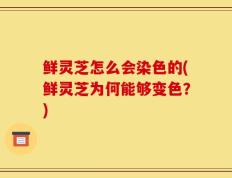 鲜灵芝怎么会染色的(鲜灵芝为何能够变色？)