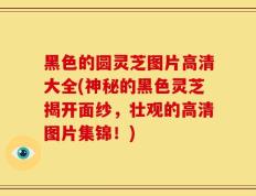 黑色的圆灵芝图片高清大全(神秘的黑色灵芝揭开面纱，壮观的高清图片集锦！)