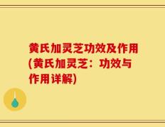黄氏加灵芝功效及作用(黄氏加灵芝：功效与作用详解)