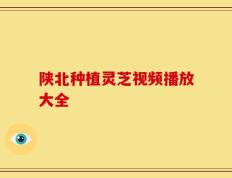 陕北种植灵芝视频播放大全
