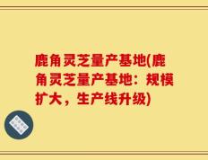 鹿角灵芝量产基地(鹿角灵芝量产基地：规模扩大，生产线升级)