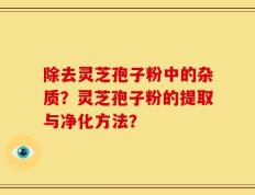 除去灵芝孢子粉中的杂质？灵芝孢子粉的提取与净化方法？
