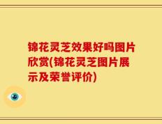 锦花灵芝效果好吗图片欣赏(锦花灵芝图片展示及荣誉评价)