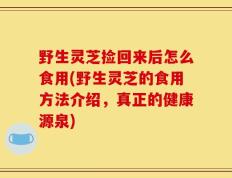 野生灵芝捡回来后怎么食用(野生灵芝的食用方法介绍，真正的健康源泉)