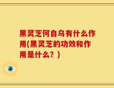 黑灵芝何自乌有什么作用(黑灵芝的功效和作用是什么？)