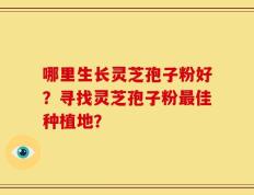 哪里生长灵芝孢子粉好？寻找灵芝孢子粉最佳种植地？