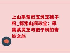 上山采紫灵芝灵芝孢子粉_探索山间珍宝：采集紫灵芝与孢子粉的奇妙之旅