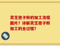 灵芝孢子粉的加工流程图片？详解灵芝孢子粉加工的全过程？