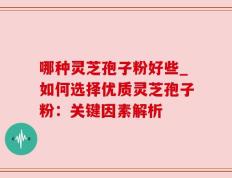哪种灵芝孢子粉好些_如何选择优质灵芝孢子粉：关键因素解析