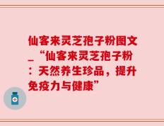 仙客来灵芝孢子粉图文_“仙客来灵芝孢子粉：天然养生珍品，提升免疫力与健康”