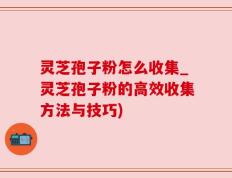 灵芝孢子粉怎么收集_灵芝孢子粉的高效收集方法与技巧)