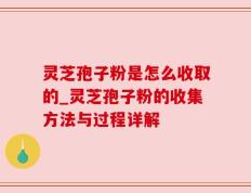 灵芝孢子粉是怎么收取的_灵芝孢子粉的收集方法与过程详解