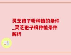 灵芝孢子粉种植的条件_灵芝孢子粉种植条件解析