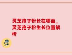 灵芝孢子粉长在哪面_灵芝孢子粉生长位置解析