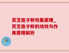 灵芝孢子粉效果原理_灵芝孢子粉的功效与作用原理解析