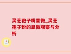 灵芝孢子粉显微_灵芝孢子粉的显微观察与分析
