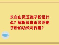 长白山灵芝孢子粉是什么？解析长白山灵芝孢子粉的功效与作用？