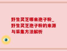 野生灵芝哪来孢子粉_野生灵芝孢子粉的来源与采集方法解析