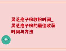 灵芝孢子粉收粉时间_灵芝孢子粉的最佳收获时间与方法