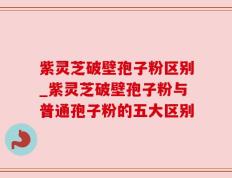 紫灵芝破壁孢子粉区别_紫灵芝破壁孢子粉与普通孢子粉的五大区别