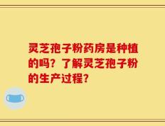 灵芝孢子粉药房是种植的吗？了解灵芝孢子粉的生产过程？
