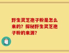 野生灵芝孢子粉是怎么来的？探秘野生灵芝孢子粉的来源？