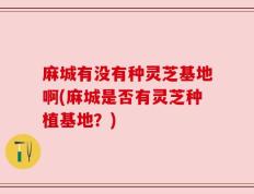 麻城有没有种灵芝基地啊(麻城是否有灵芝种植基地？)
