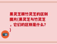 黑灵芝跟竹灵芝的区别图片(黑灵芝与竹灵芝，它们的区别是什么？)
