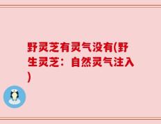 野灵芝有灵气没有(野生灵芝：自然灵气注入)
