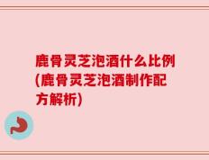 鹿骨灵芝泡酒什么比例(鹿骨灵芝泡酒制作配方解析)