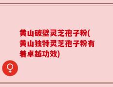 黄山破壁灵芝孢子粉(黄山独特灵芝孢子粉有着卓越功效)