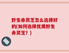 野生赤灵芝怎么选择好的(如何选择优质野生赤灵芝？)