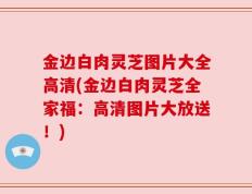 金边白肉灵芝图片大全高清(金边白肉灵芝全家福：高清图片大放送！)