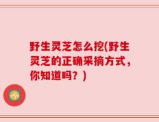 野生灵芝怎么挖(野生灵芝的正确采摘方式，你知道吗？)