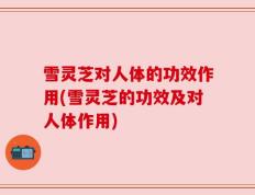 雪灵芝对人体的功效作用(雪灵芝的功效及对人体作用)