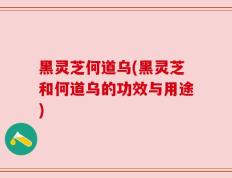黑灵芝何道乌(黑灵芝和何道乌的功效与用途)