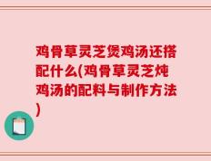 鸡骨草灵芝煲鸡汤还搭配什么(鸡骨草灵芝炖鸡汤的配料与制作方法)