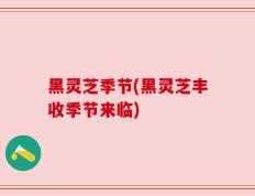 黑灵芝季节(黑灵芝丰收季节来临)