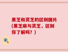 黑芝和灵芝的区别图片(黑芝麻与灵芝，区别你了解吗？)