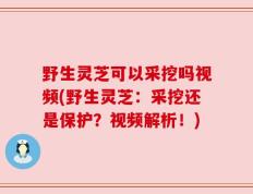 野生灵芝可以采挖吗视频(野生灵芝：采挖还是保护？视频解析！)