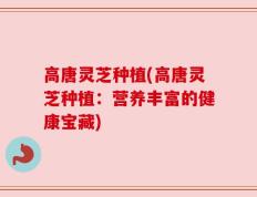 高唐灵芝种植(高唐灵芝种植：营养丰富的健康宝藏)