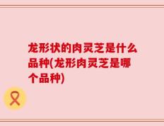龙形状的肉灵芝是什么品种(龙形肉灵芝是哪个品种)