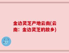 金边灵芝产地云南(云南：金边灵芝的故乡)
