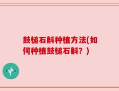 鼓槌石斛种植方法(如何种植鼓槌石斛？)