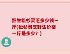 野生松杉灵芝多少钱一斤(松杉灵芝野生价格一斤是多少？)